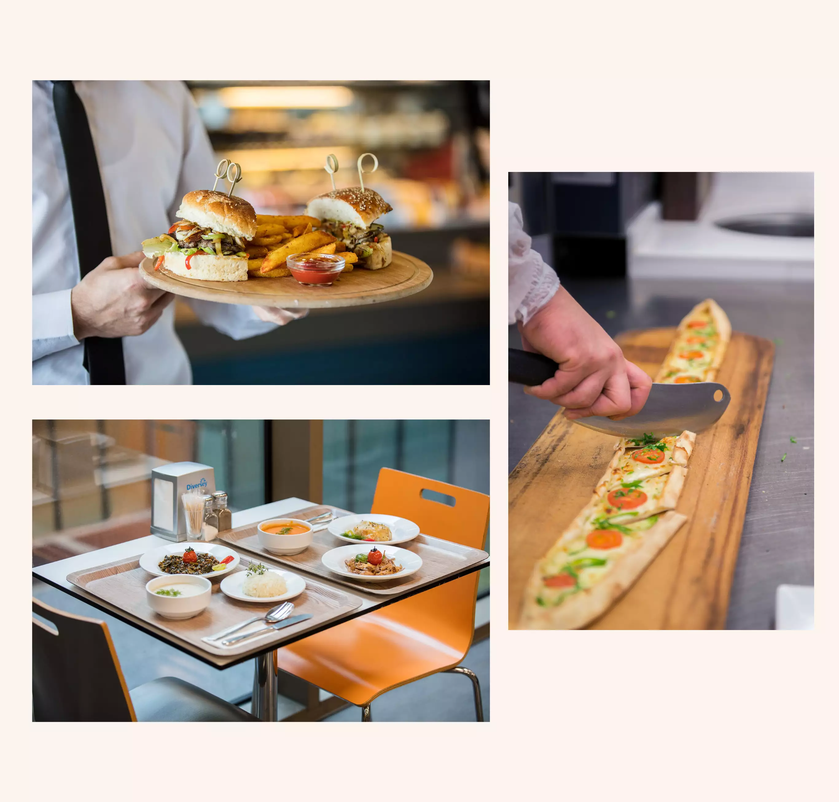 sanayi kuruluşları