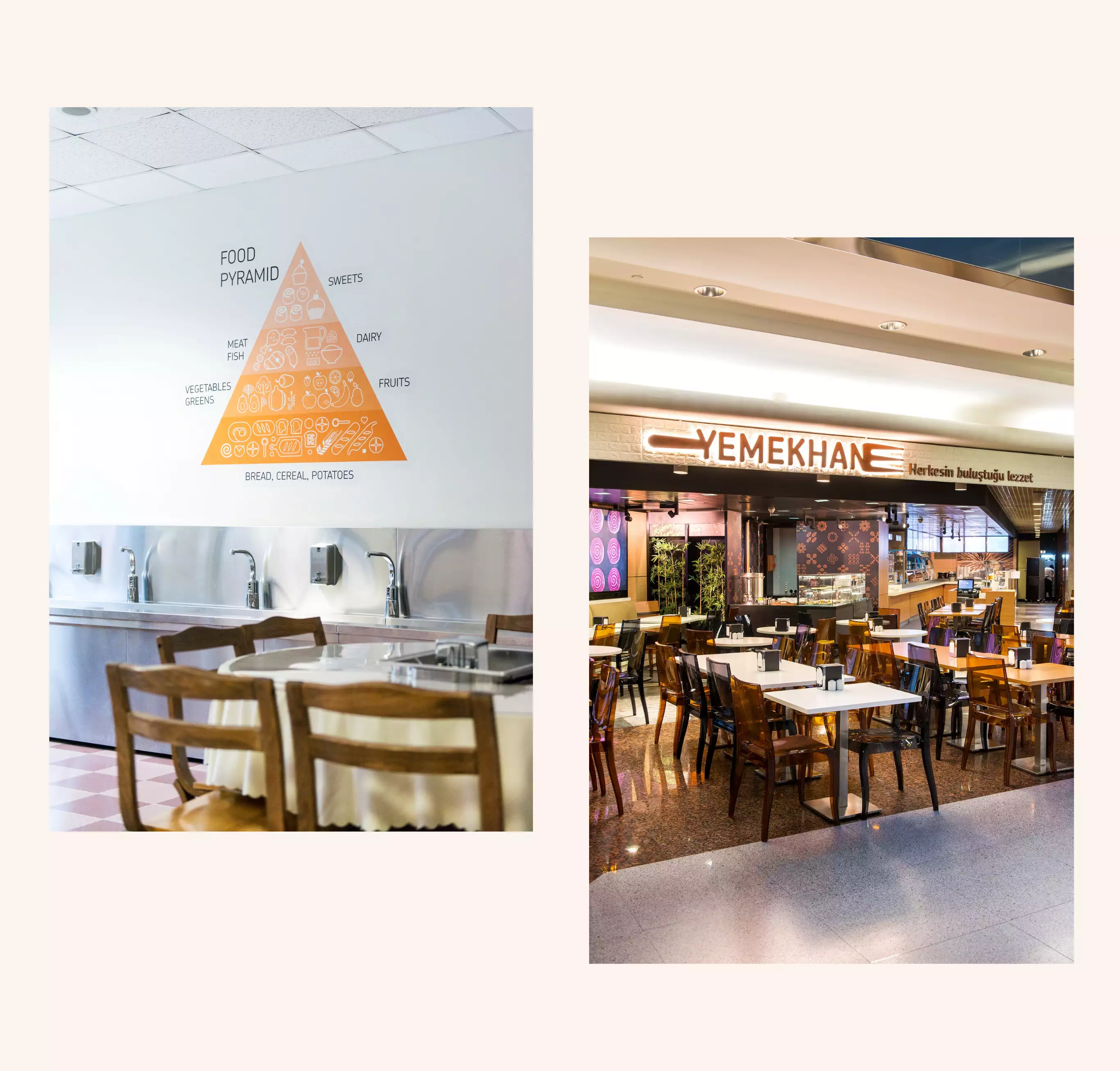 sanayi kuruluşları